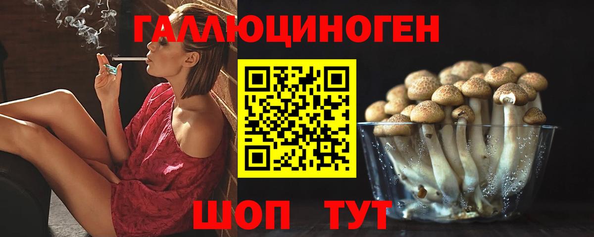 Псилоцибиновые грибы Psilocybine cubensis  купить   Миасс  Вход с VPN 